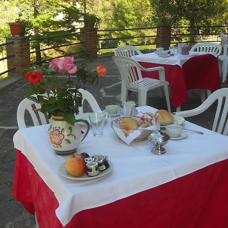 Hotel Il Poggetto Castellina Marittima Dış mekan fotoğraf