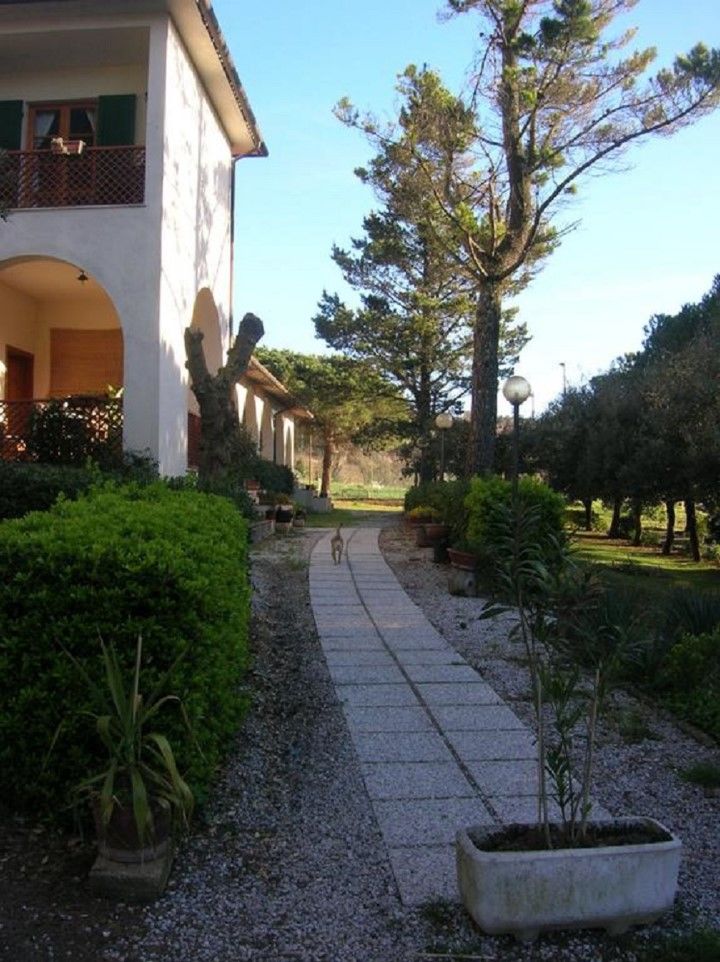 Hotel Il Poggetto Castellina Marittima Dış mekan fotoğraf